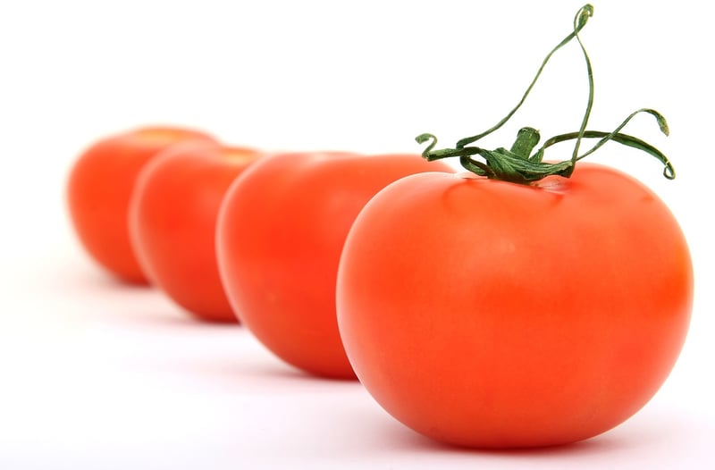 La Tomatina Festival